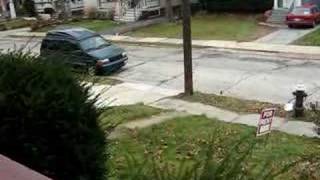 Crazy squirrels