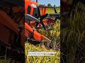 Rice Harvester Machine Boosts Yield Efficiency Fast #RiceHarvester #FarmMachinery #HarvestSeason