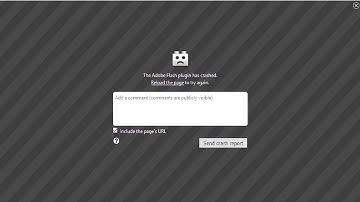 The Adobe Flash plugin has crashed. Reload the page to try again [One Simple Fix]