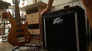 Peavey Basic 60