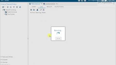 COLUMN INPUT IN SAS
