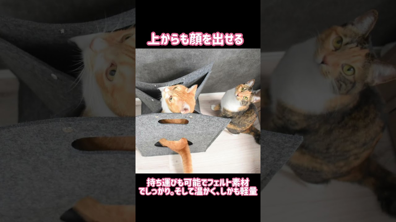 TRIXIE（トリクシー）猫用品｜ドイツ品質のキャットタワー・爪とぎ 