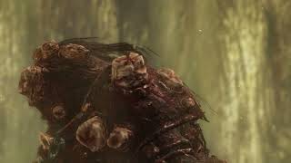 ELDEN RING: The disgusting story of the evil Dungeater (!!SPOILER WARNING, SHOCK EFFECTS!!)