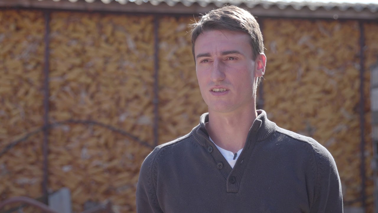 DEKALB hibridi kukuruza - Iskustva proizvođača Miljan Cvetićanin i Vlada Kopčanski