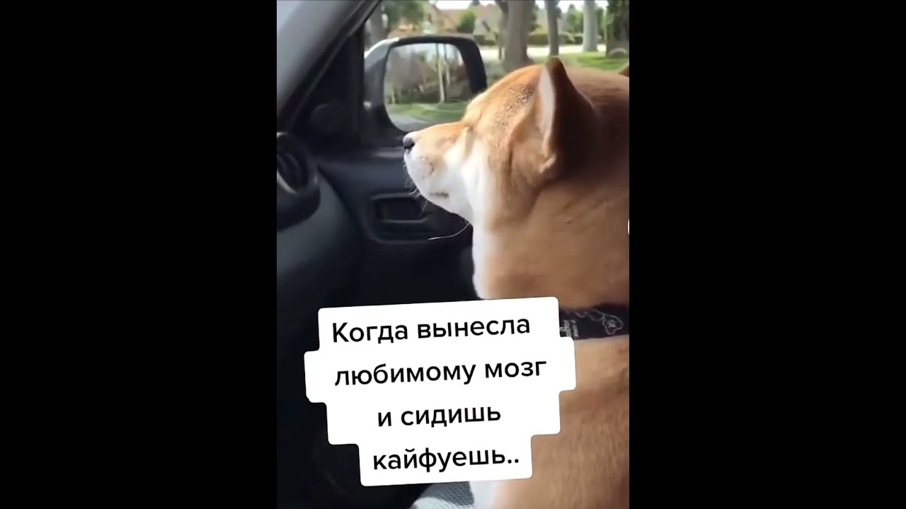 Вынесла мозг парню в первый день самоизоляции но хоть отсосала Вынесла мозг парню в первый день самоизоляции но хоть отсосала