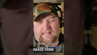 The Effects of Wind Chill on Honey Bees