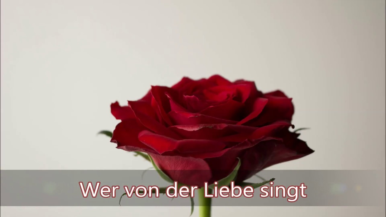 Von Der Liebe Von Der Liebe