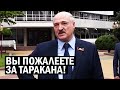 СРОЧНО! Лукашенко СОРВАЛСЯ на народ - 3%? Я вам покажу ТАРАКАНА! ПОЖАЛЕЕТЕ - Свежие новости