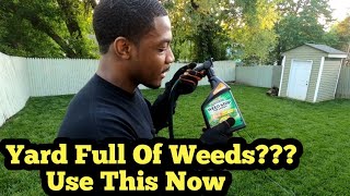 How To Quickly Eliminate A Yard Full Of Weeds With Hose End Sprayer| Pt2