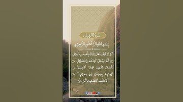 Surah Al-Fil (Al-Feel -سورة الفيل -The Elephant) |Arabic text #surahfil #quran