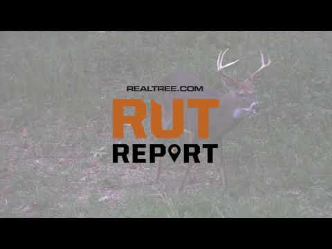 Deer Hunting: Introducing