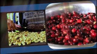 Reputasi Fermentasi Kopi | RAGAM INDONESIA (12/09/22)