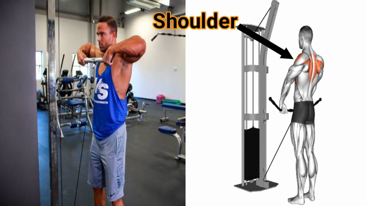 9 Best Shoulder Workout For Beginners Super Shoulder Mass Exercise 