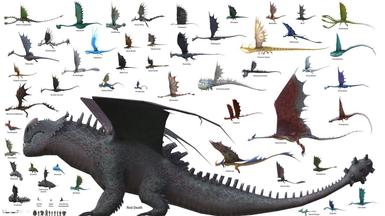 Dragon Size Comparison - YouTube