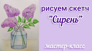картинка: Скетч 