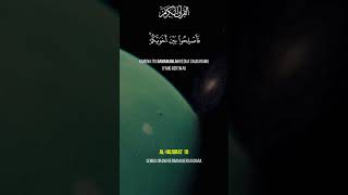 Al-Quran Surah Al-Hujurat Ayat 10 | Semua Orang Beriman Adalah Saudara