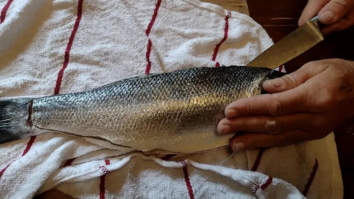 Preparing Sea Bass For Eating How To Gut, Fin, Fillet, de bone Your Freshly Caught Wild Bass