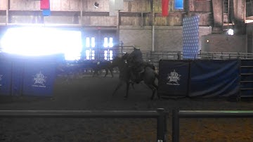 Smart Peppy Balsam - Ecko - State Fair Sorting - 5 head - Valley View Ranch