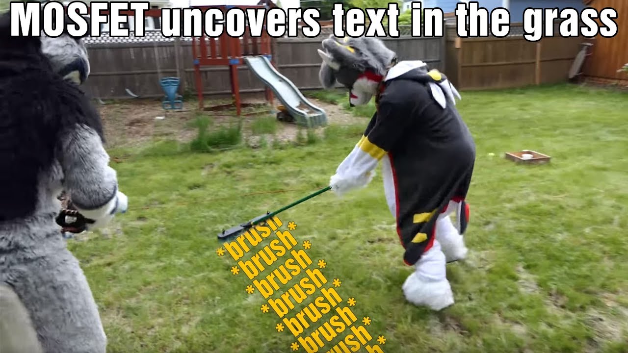 MOSFET gives brushies... to GRASS :D 🌱