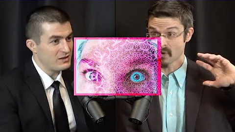 What does a DMT trip feel like? | Lex Fridman & Matthew Johnson