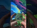 Bulbasaur Water Gamebot #gaming #squidgame #satisfyingvideo #satisfying #toys