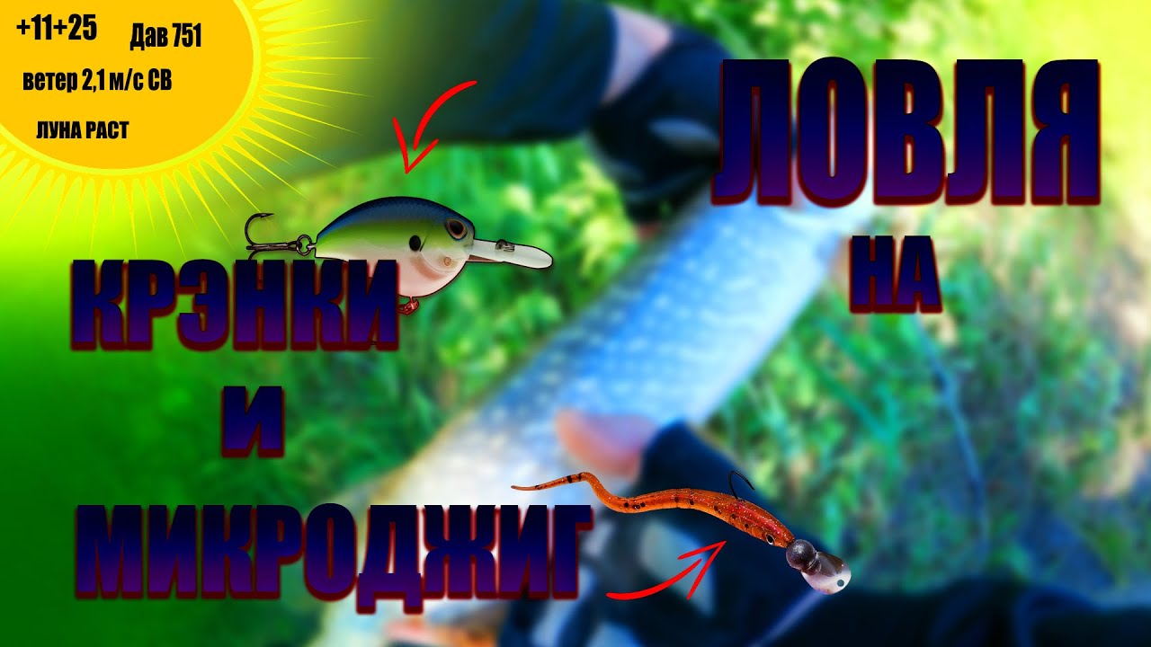 №42 Спиннинг летом с берега Ловля на реке Микроджиг