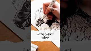 Information Unleash your Magical Harry Potter Fan-Art Creations - Spectrum Noir News