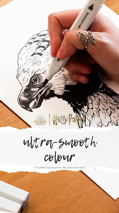 Introducing Harry Potter Fan-Art Like a Pro Art Kits! - Spectrum Noir 