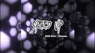 DXH Crew - Percuma ( speed up )