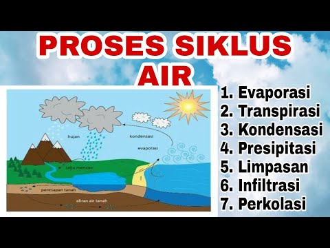 Video: Apa yang dimaksud dengan transpirasi dalam siklus air?