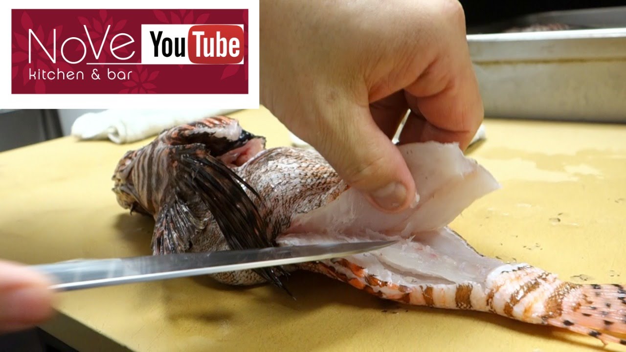 VENOMOUS Lionfish Sashimi - How To Make Sushi Series | Hiroyuki Terada - Diaries of a Master Sushi Chef