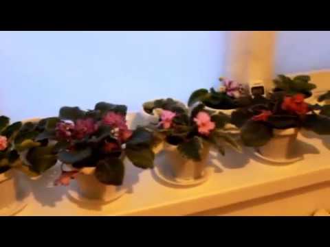 символ семьи картинки