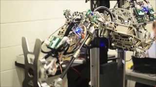 Meet the Teams: DARPA Robotics Challenge Track A Robots