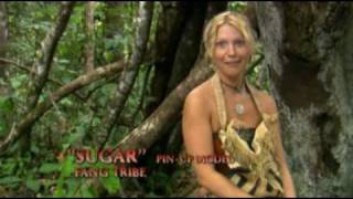 Download Lagu Sugar Tribute - The Story of a Girl MP3 Download Lagu Sugar Tribute - The Story of a Girl MP3