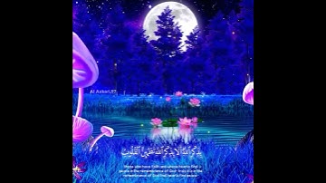ألا بذكر الله تطمئن القلوب | حالات واتس أب قرآن كريم تلاوة جميلة ❤