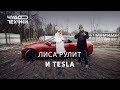 Стоит ли покупать Tesla? Лиса рулит