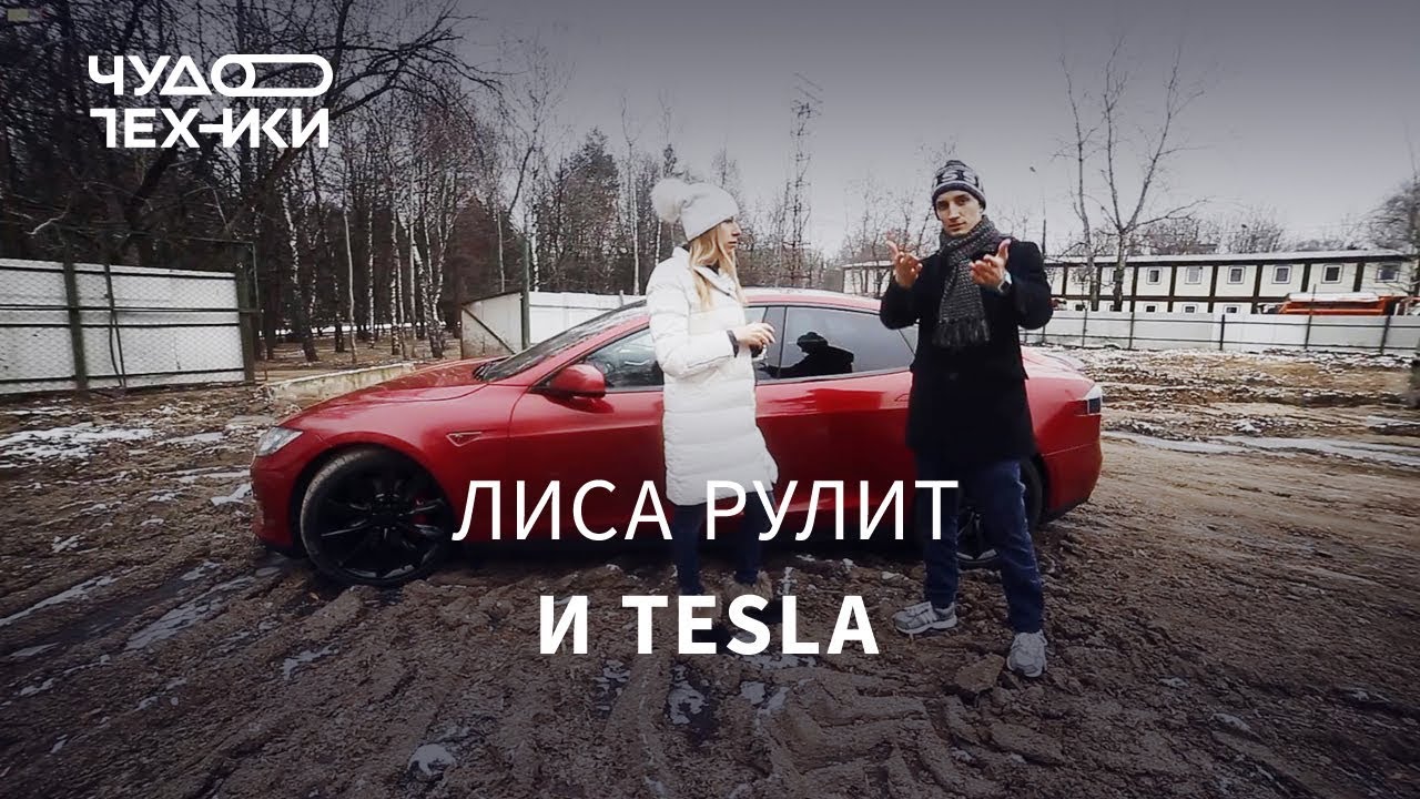 Стоит ли покупать Tesla? Лиса рулит