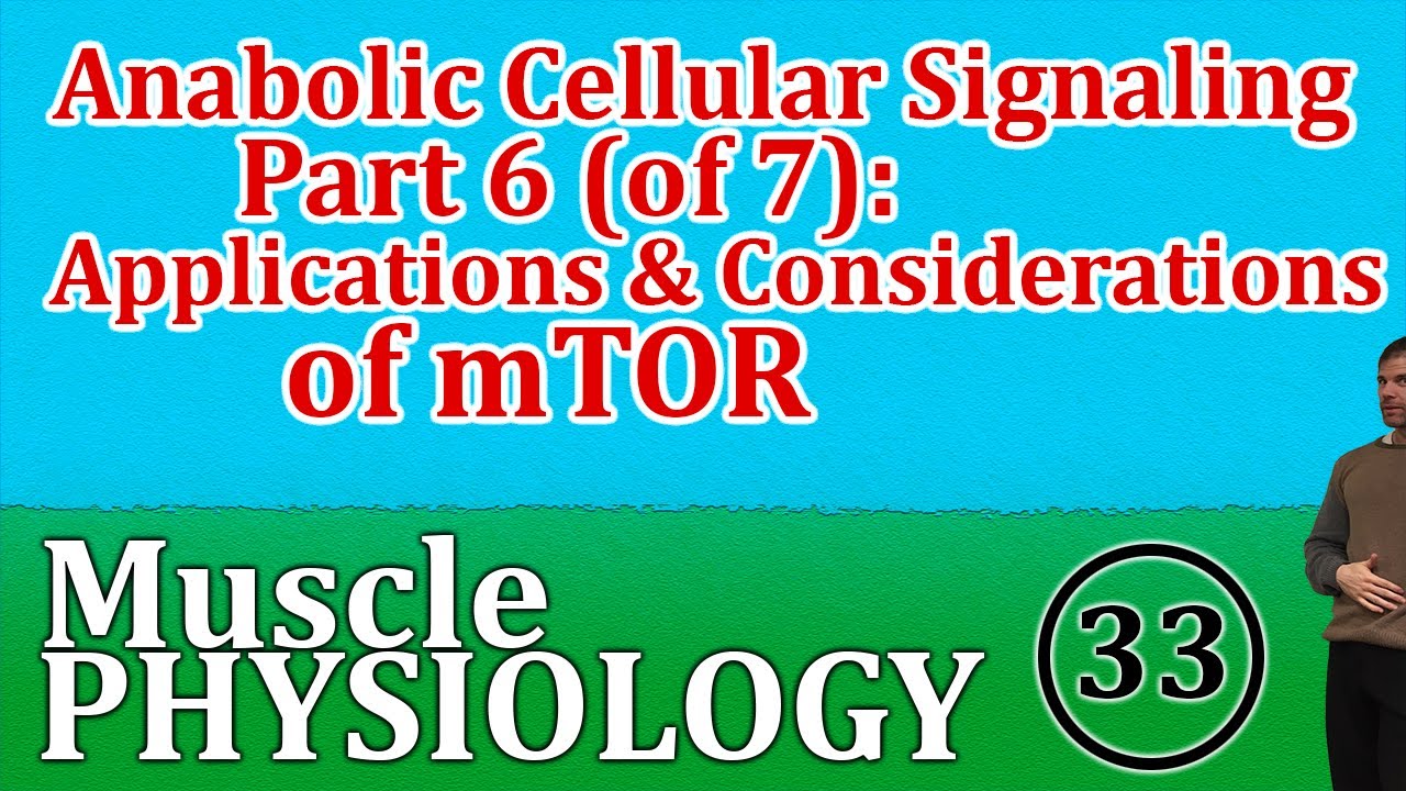 Anabolic Cellular Signaling Lecture 6 (of 7): Applications and Considerations of mTOR