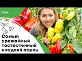 Самый урожайный, ранний и толстостенный перец | Какой сладкий перец посеять на рассаду