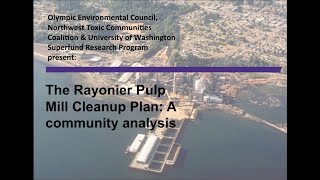The Rayonier Pulp Mill Cleanup Plan: A Community Analysis