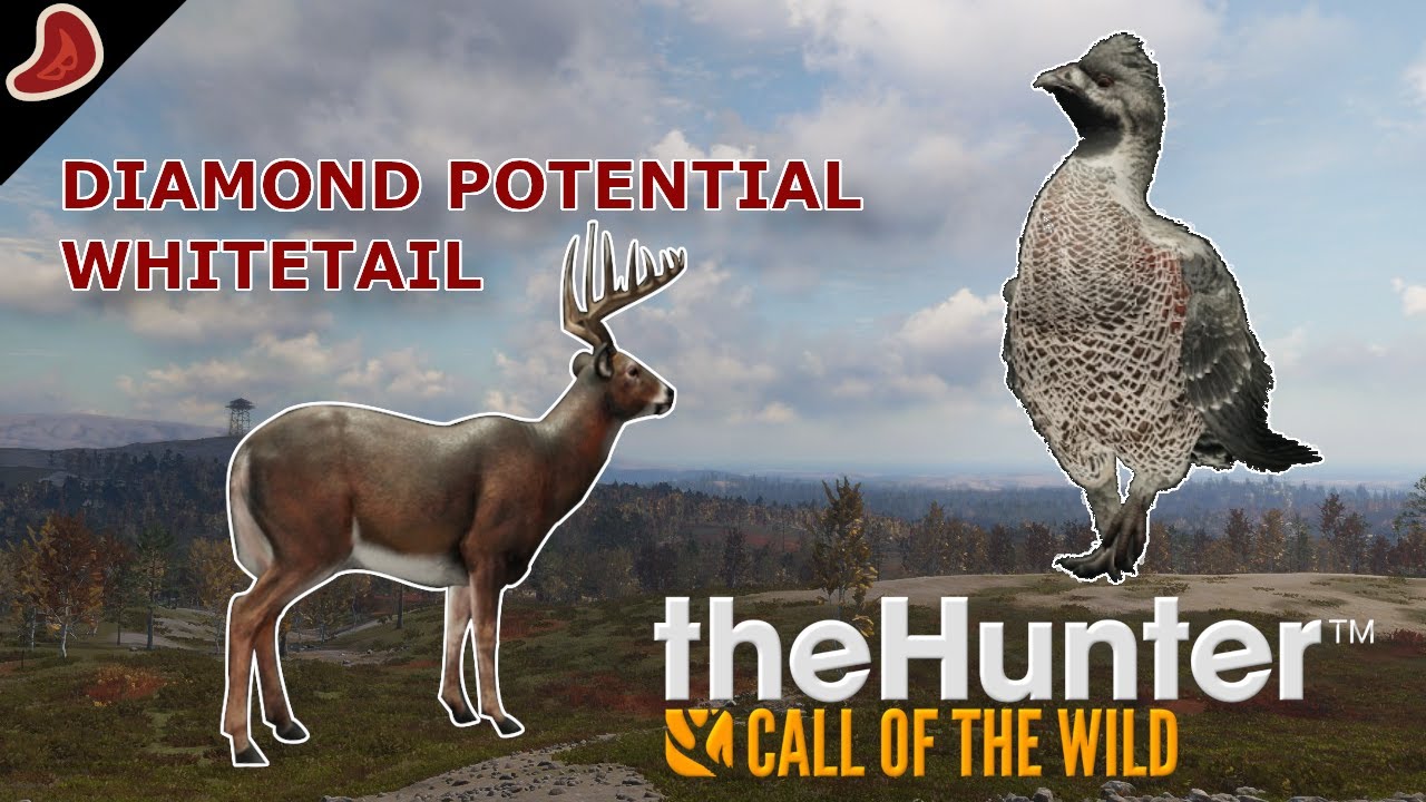 Hunting for Missing Diamonds on Revontuli Coast Troll Whitetail