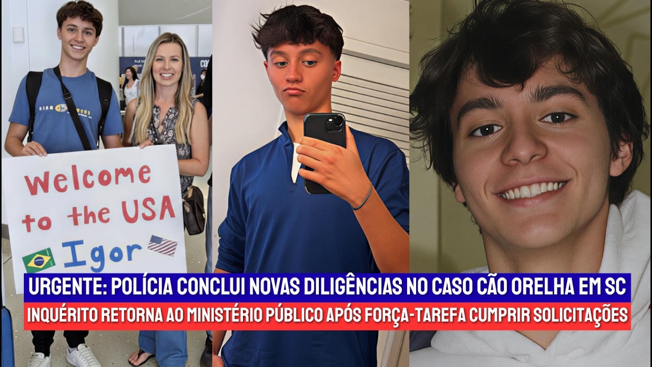 Caso cão Orelha: força-tarefa conclui apuração após solicitações do MP em SC | Brasil Sem Lei