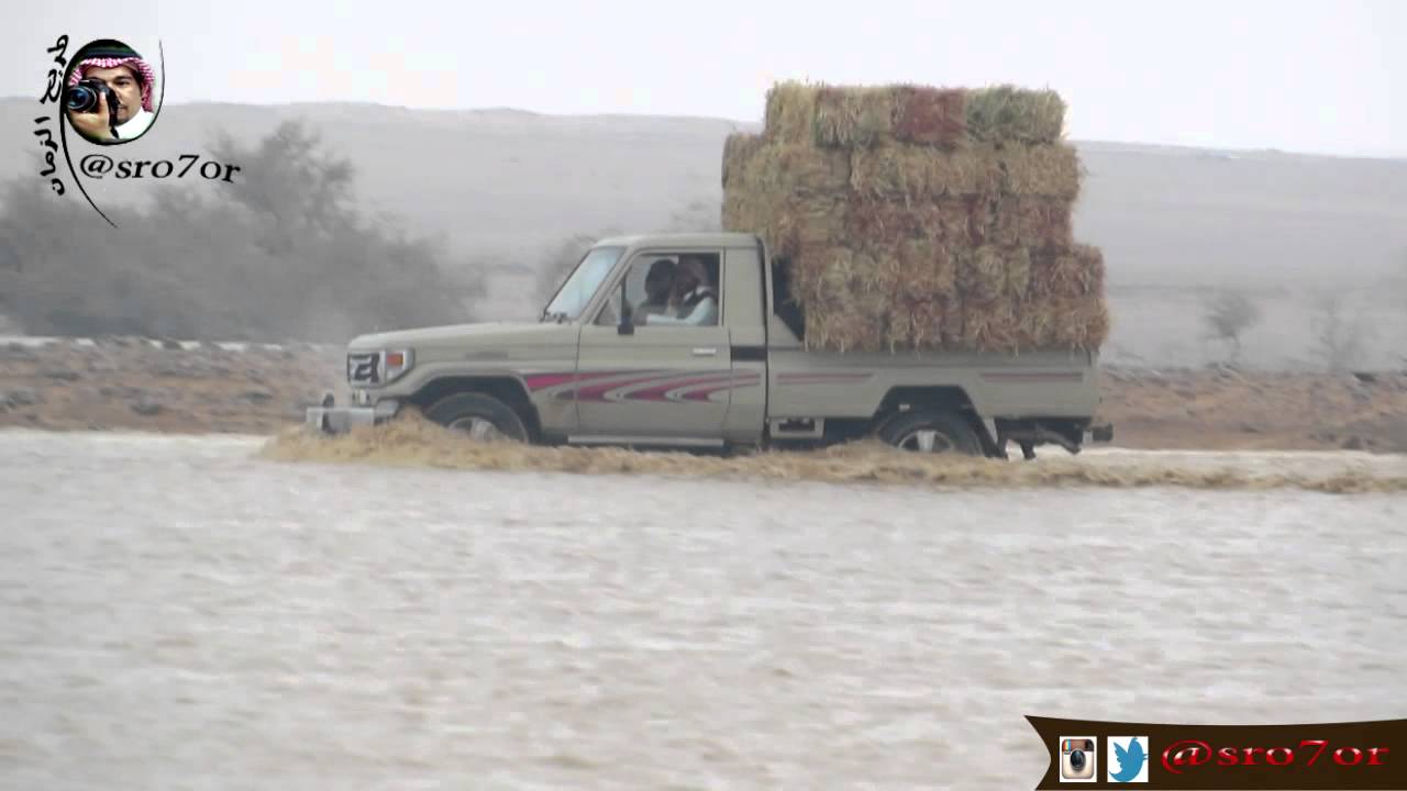 مونتاج امطار وربيع رفحاء ولينه الاثنين1437-2- 11 تصوير طريح الزمان