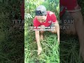 perjuangan itu gak mudah untuk mendapatkan hasil yang indah #shortvideo #motivation