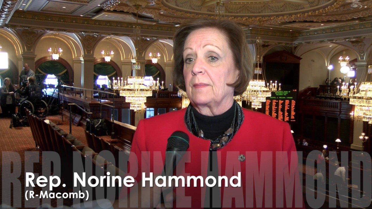 hammond power solutions Rep. Hammond reacts to Governor's Budget Address-2017