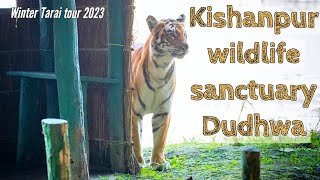 Tiger Sighting in Kishanpur wildlife sanctuary - Dudhwa tiger reserve | Perfect start of winter tour