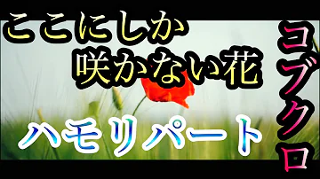 تحميل ここにしか咲かない花 تحميل ここにしか咲かない花