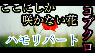 【"ここにしか咲かない花"をハモりたい方必見！】ハモりパート　ここにしか咲かない花/コブクロ