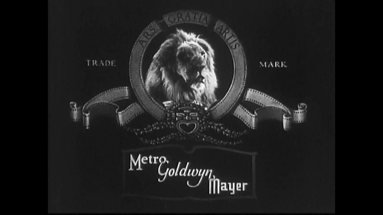 CARTOON CRAZE: METRO-GOLDWYN-MAYER A METRO-GOLDWYN-MAYER CARTOON COLOR BY IN TECHNICOLOR 1999 DVD 