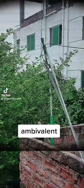what-does-ambivalent-mean-how-to-pronounce-use-in-a-sentence